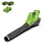 Greenworks Accu Bladblazer 40V Met 2x 2.0Ah Accu En Lader -Makita Winkel 12167 0 800x800 1