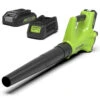 Greenworks 24 Volt Accu Bladblazer Met 2.0 Ah Accu En Lader -Makita Winkel 12315 0 800x800 1