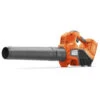 Husqvarna Accu Bladblazer 120iB Basic -Makita Winkel 16582 0 800x800 1