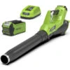 Greenworks Accu Bladblazer 40V Met 2.0Ah Accu En Lader -Makita Winkel 9719 0 800x800 1
